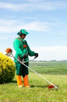 /album/galeria-de-fotos-areas-verdes/mg-1150-jpg/